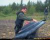 <b>Название: </b>x_c51f5f77, <b>Добавил:<b> ВååL<br>Размеры: 604x453, 61.2 Кб